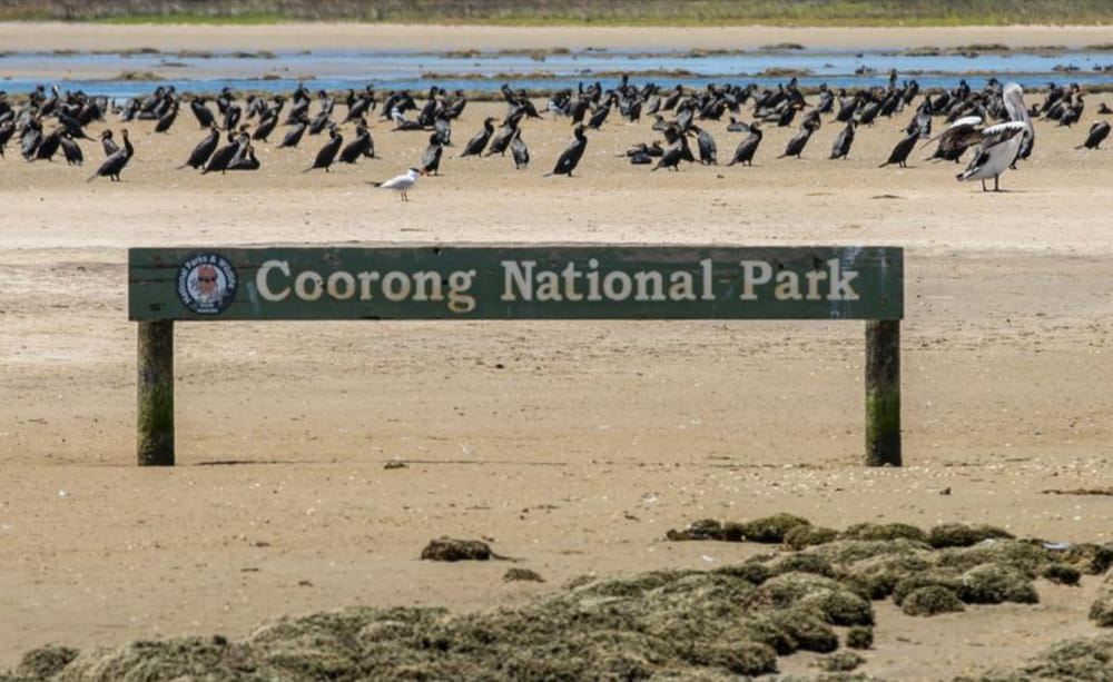 Murray River, Lakes and Coorong