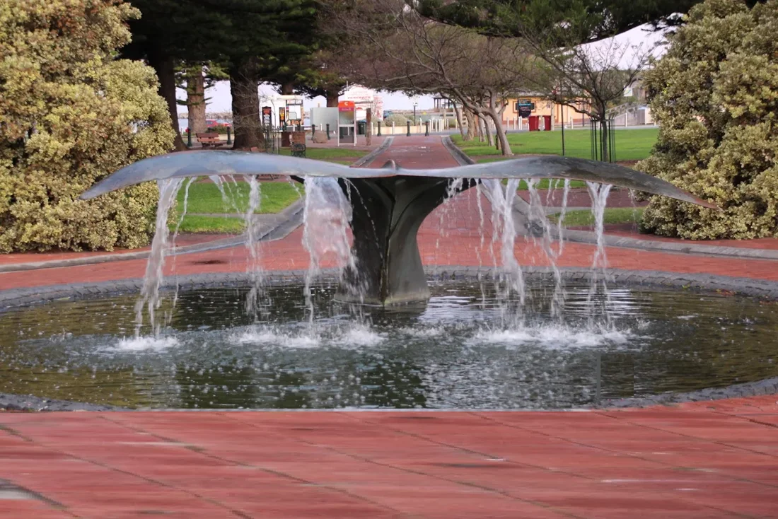 The Whale Road Fleurieu Tour